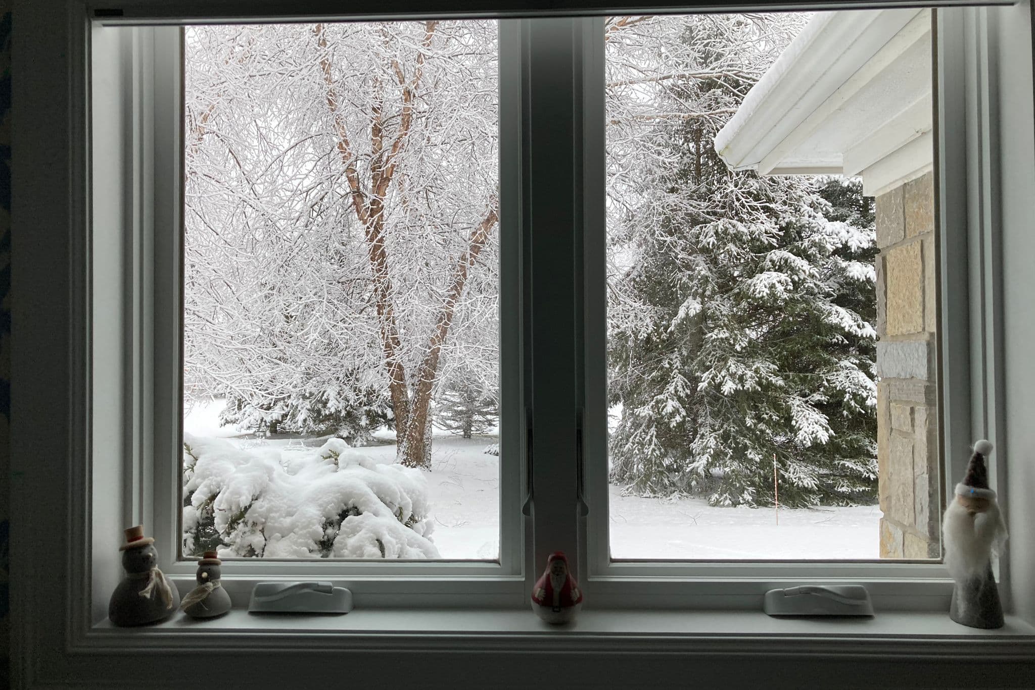 Black mould in Winter 