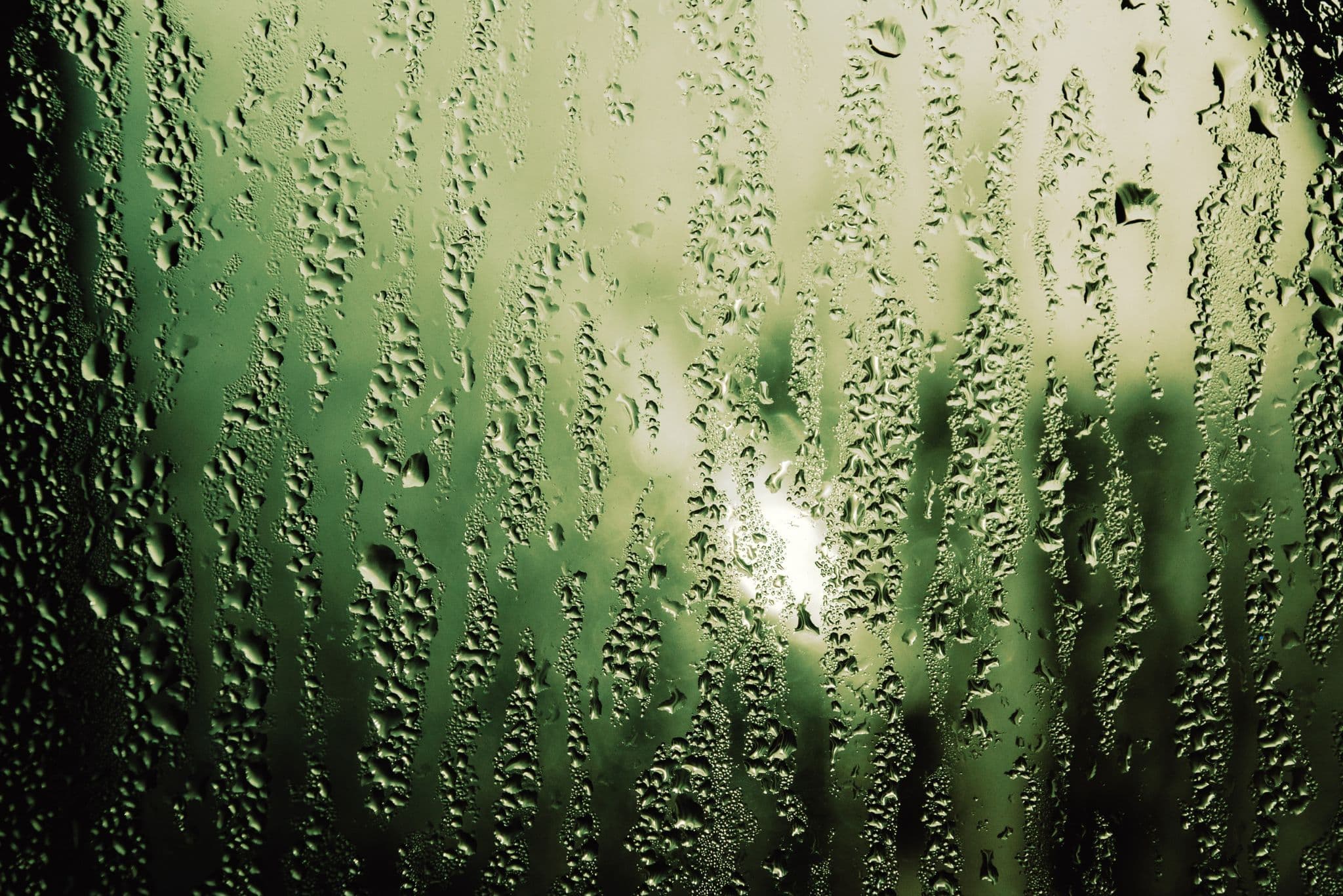 Does Rain Cause Damp & Black Mould?